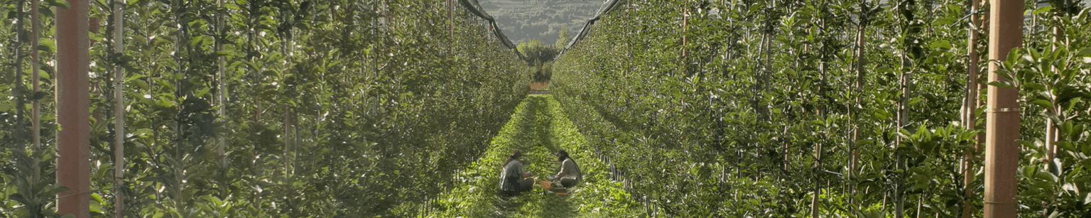 agritech-page-slide-1