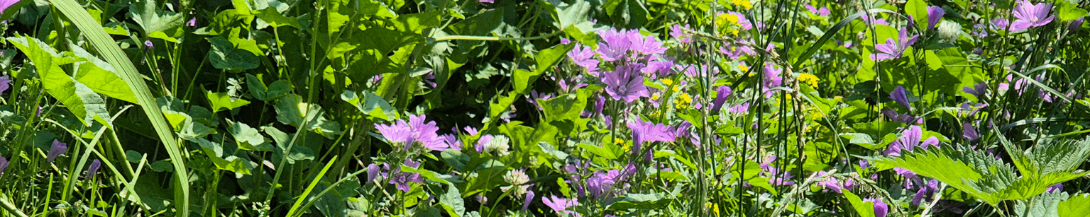 agritech-page-slide-3