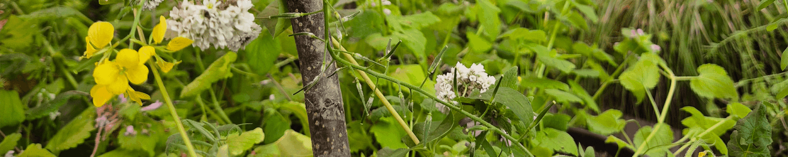 agritech-page-slide-6