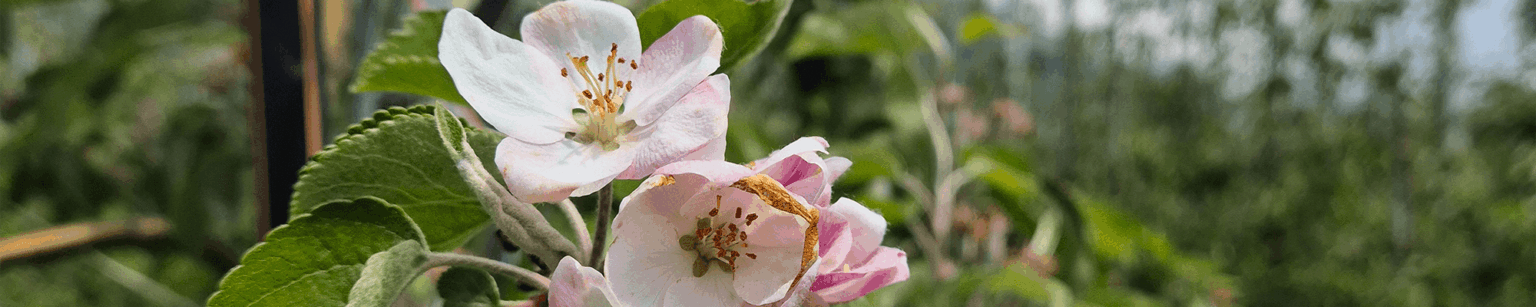 agritech-page-slide-8