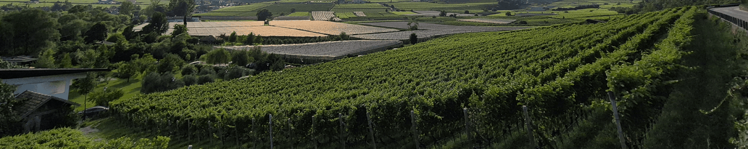 agritech-slide-home-0